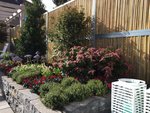 afscheiding_tuin_erf_bamboe