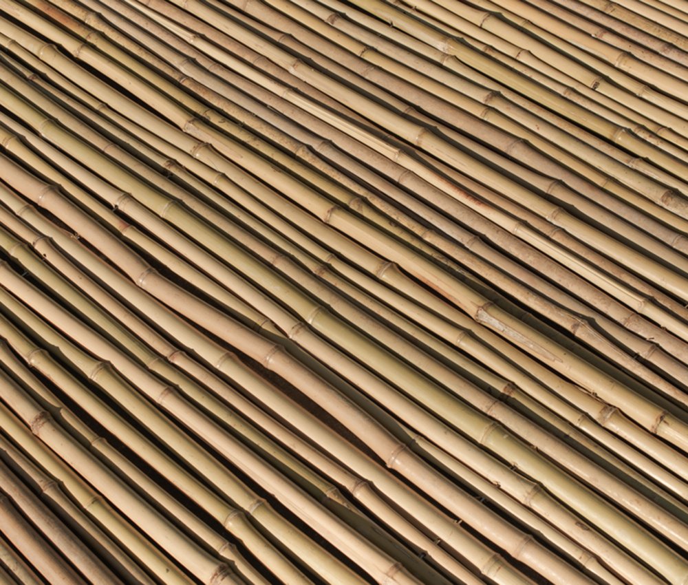 Sichtschutzmatte Bambus 180 x 180 cm kaufen? | Sichtschutzzaune | Gadero.de