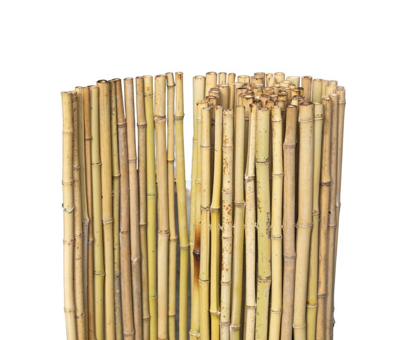 Sichtschutzmatte Bambus 180 x 180 cm kaufen? | Sichtschutzzaune | Gadero.de
