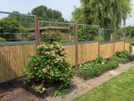 bamboe_schutting_gaas_scherm