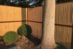 bamboe_tuinscherm_cortenstaal_frame