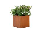 bloembak_cortenstaal_50x50x50cm