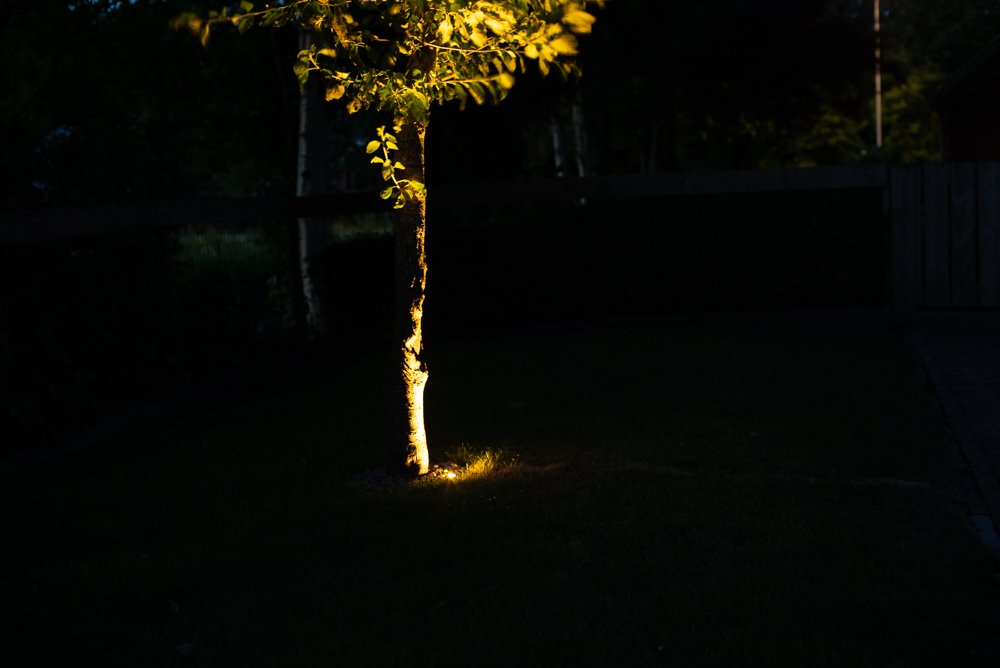 boom_verlicht_door_grondspot