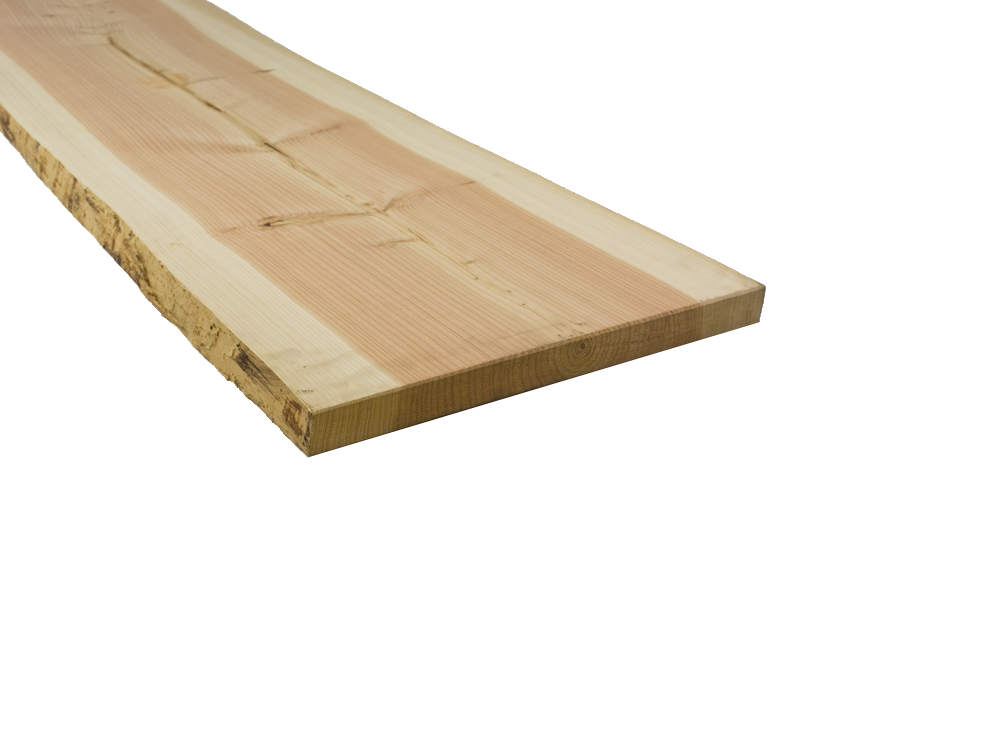 boomstamplank_lariks_douglas