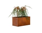 cortenstaal_plantenbak_50x90x50cm