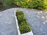 eco_bricks_maeslant_2_jpg