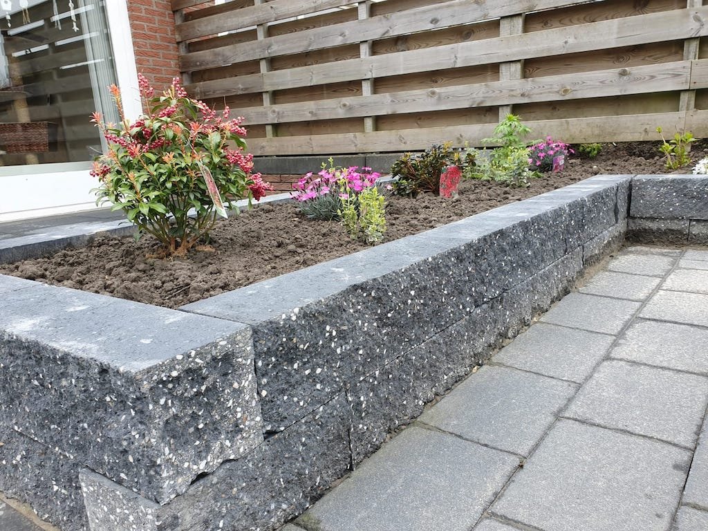 granibielzen_zwart
