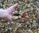 grind_16_32_mm_hand