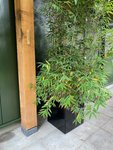 i_wovar_plantenbak_zwart_verzinkt_staal_40_x_40_x_40_cm_bloembak_1_jpeg