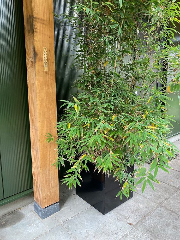 i_wovar_plantenbak_zwart_verzinkt_staal_40_x_40_x_40_cm_bloembak_1_jpeg
