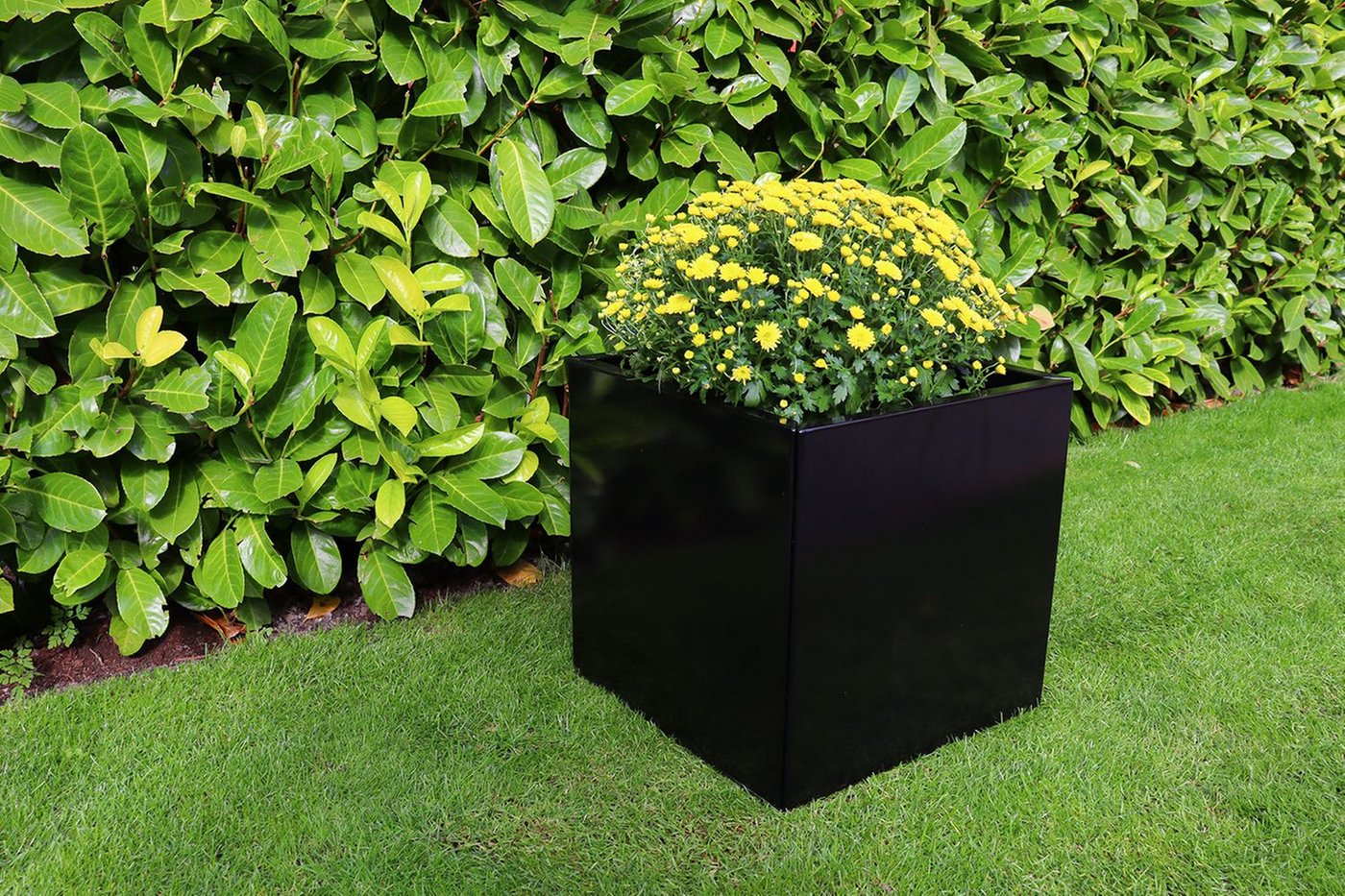 i_wovar_plantenbak_zwart_verzinkt_staal_50_x_50_x_50_cm_bloembak_4_jpeg