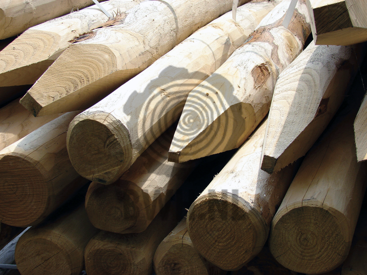 kastantjepaal_6_8cm_1