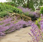 keramische_tegel_kera_twice_45x90x58_cm_paduc_oak8