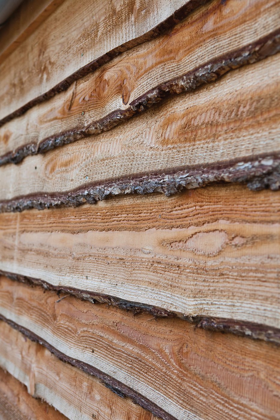 larch_natual_cladding