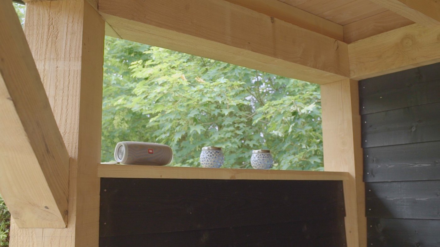 model_20x20_lariks_douglas