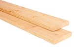 model_Plank_OL_GG_side