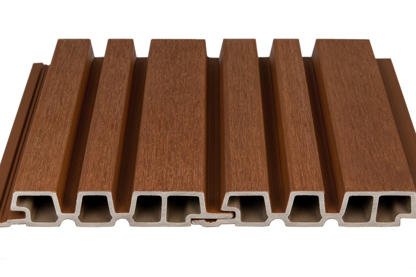 model_Purasamendonkerbruin