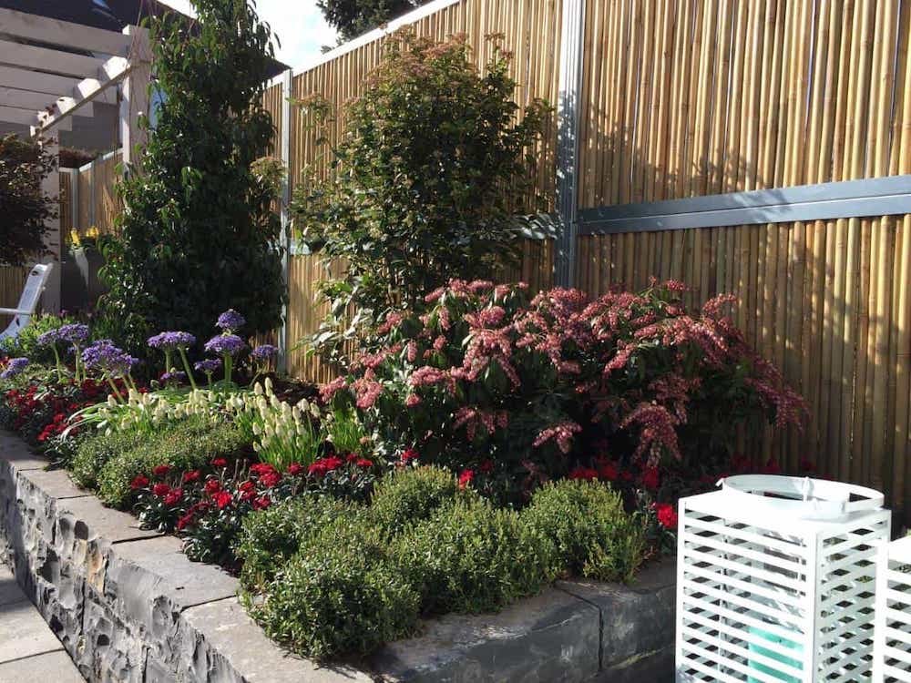 model_afscheiding_tuin_erf_bamboe