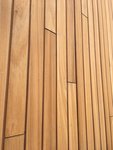 model_ayous_planken