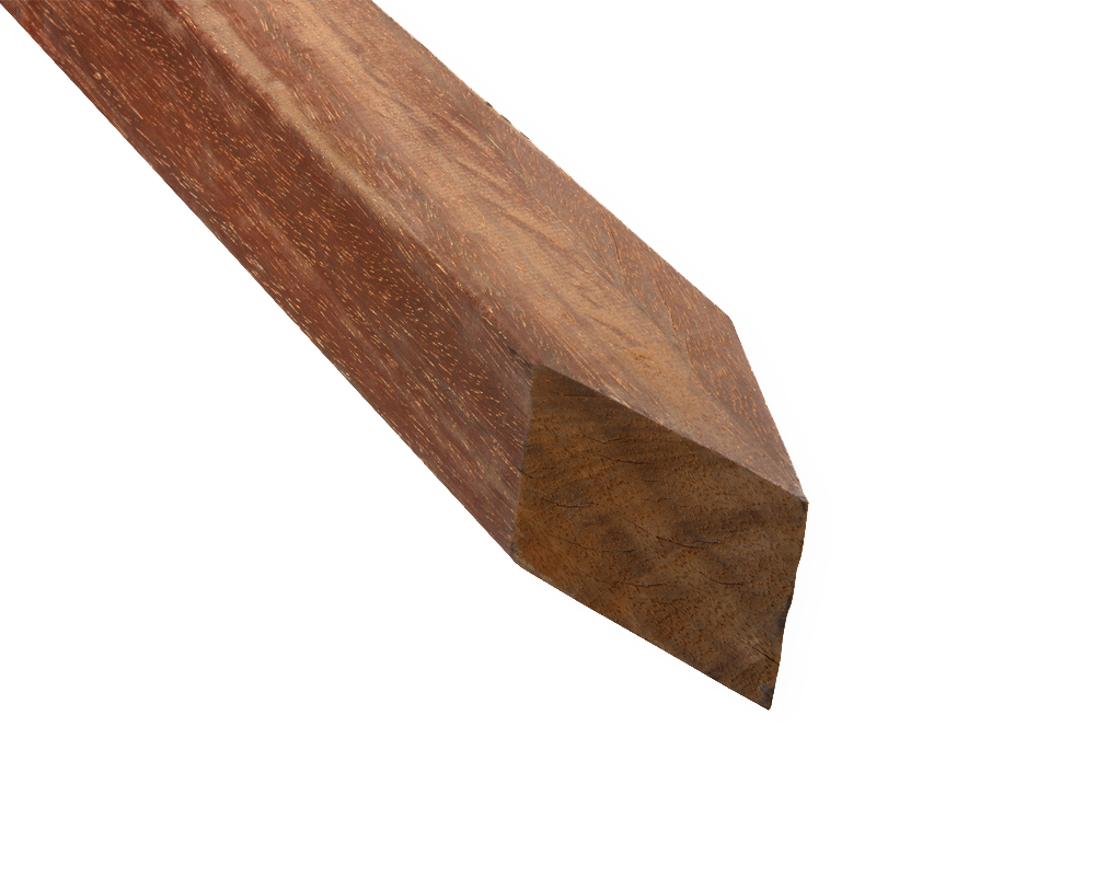model_azobe_paal_punt_1