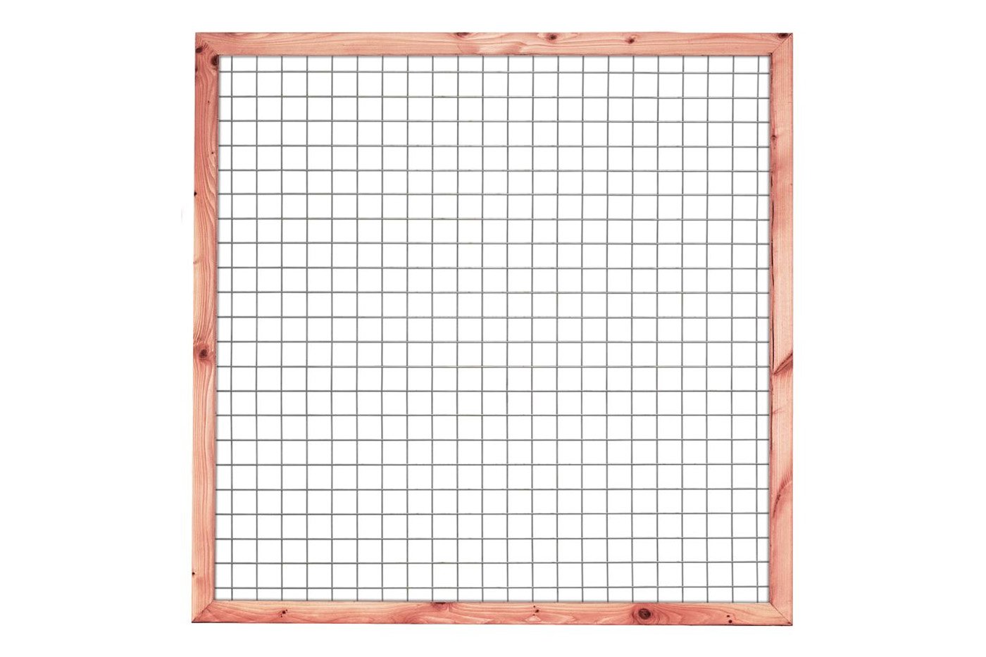 model_draadscherm_douglas_geimpregneerd_180x180cm