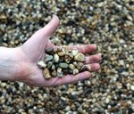model_grind_8_16_mm_hand