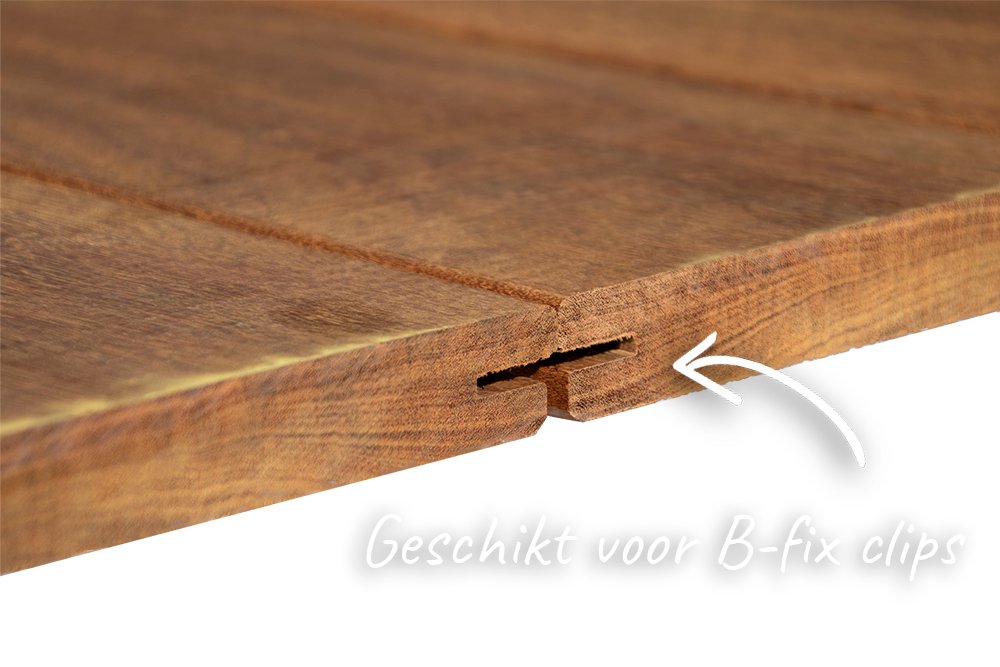 model_ipe_b_fix_clips