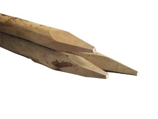 model_kastanje_paal_0