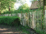 model_kastanjehout_engels