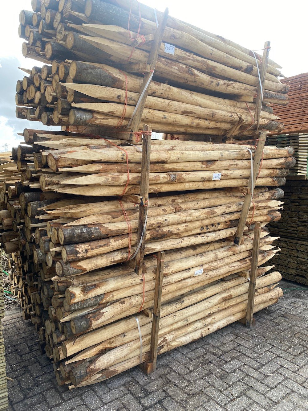 model_kastanjepalen