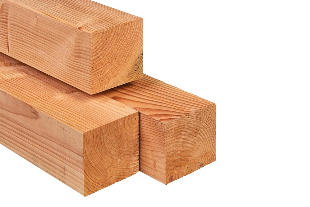model_lariks_douglas_14x14_paal