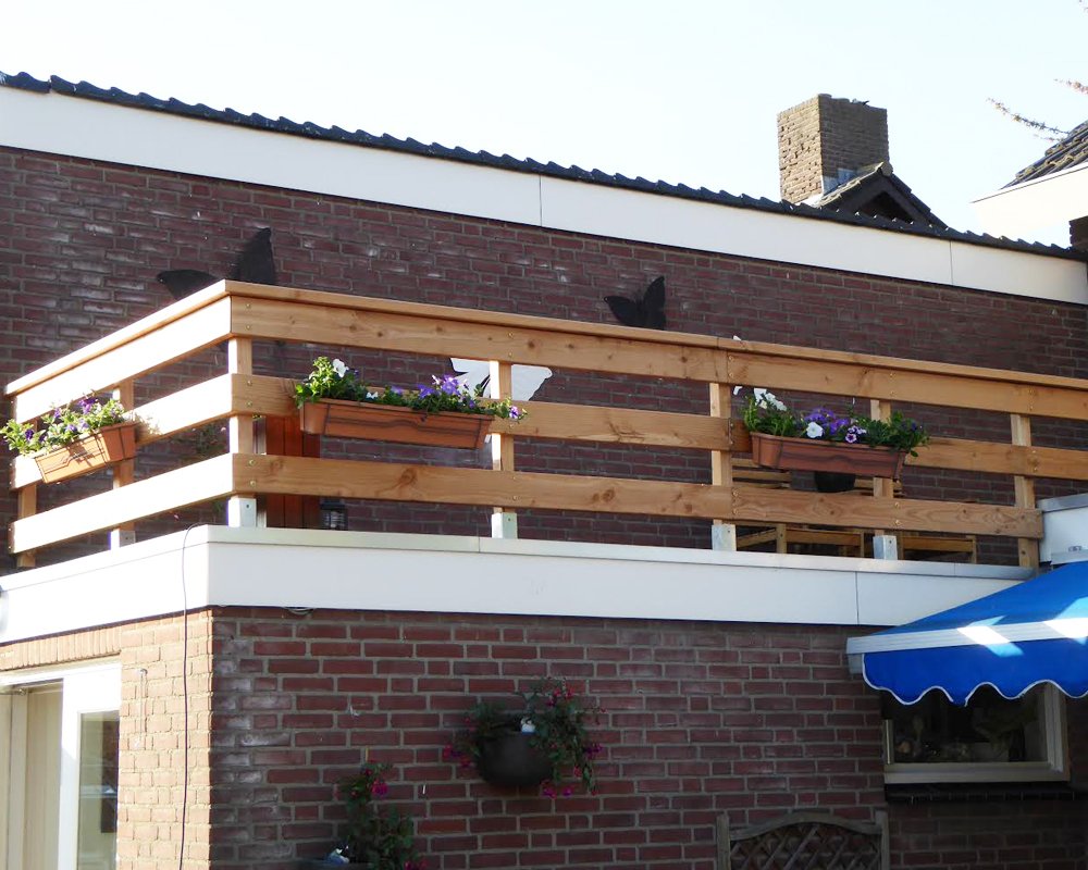 model_lariks_douglas_balk_45x145