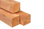 model_lariks_douglas_14x14_paal