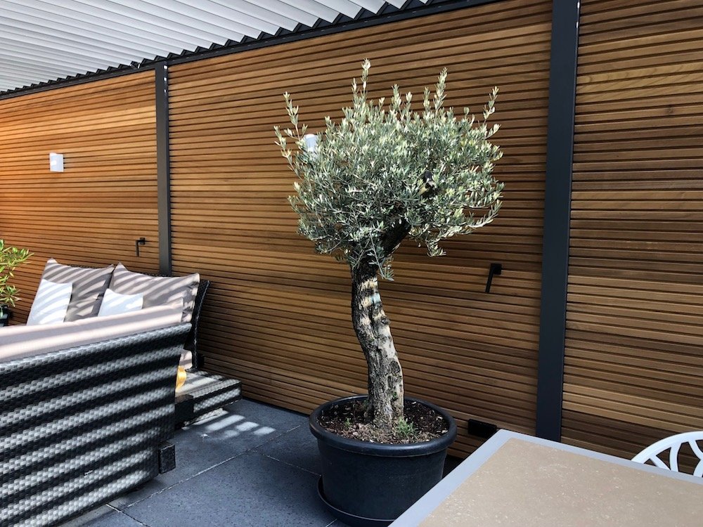 model_luxe_overkapping_blokprofile_ayous