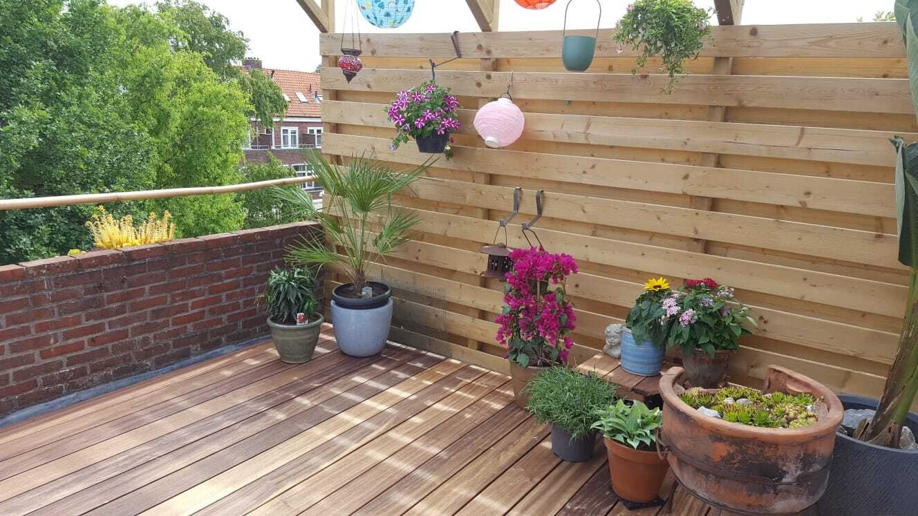 model_padouk_terras