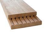model_plank_van_tom