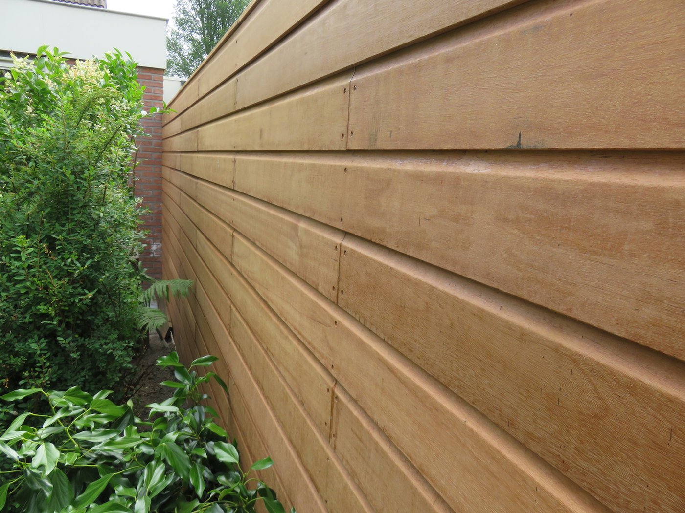 model_rabat_dubbellip_halfhouts6