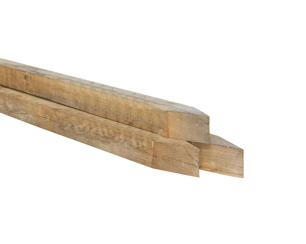 model_robinia_paal_bezaagd_gepunt