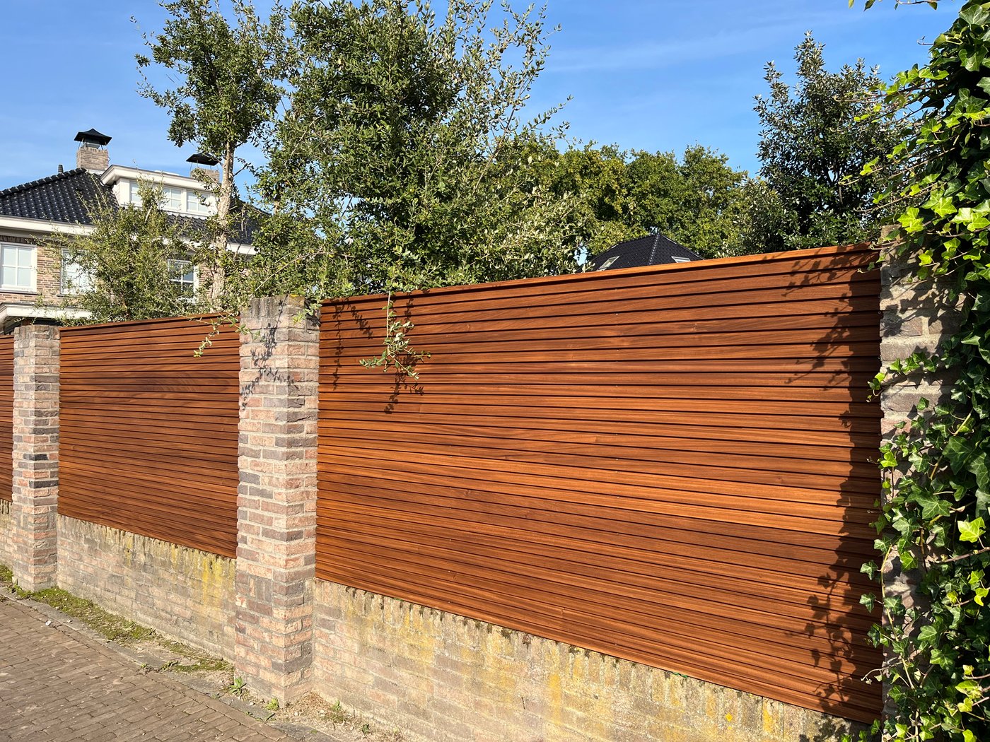 model_schutting_ayous