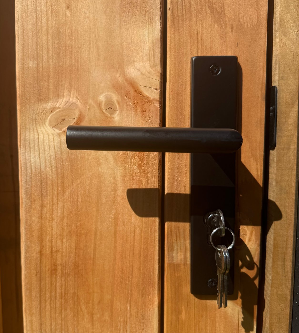 model_schuttingdeur_privacy_90_195_red_class_zwart_frame_detail_deurbeslag