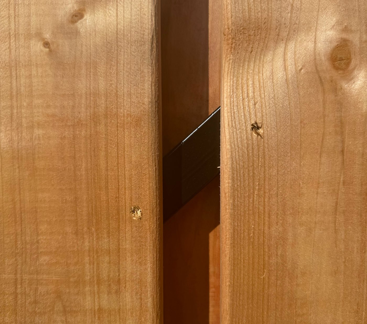 model_schuttingdeur_privacy_90_195_red_class_zwart_frame_detail
