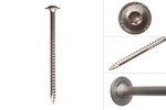 model_tellerkopschroef_rvs_torx40