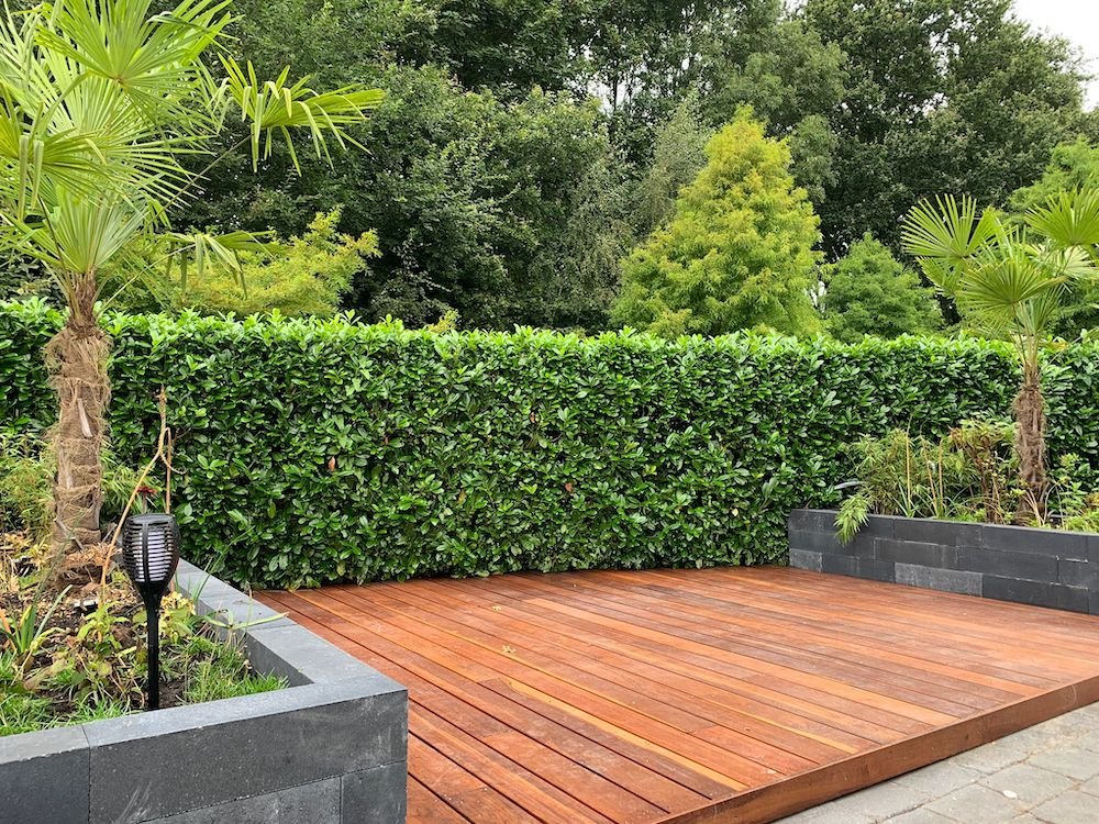 model_terras_ipe_vlonderplanken