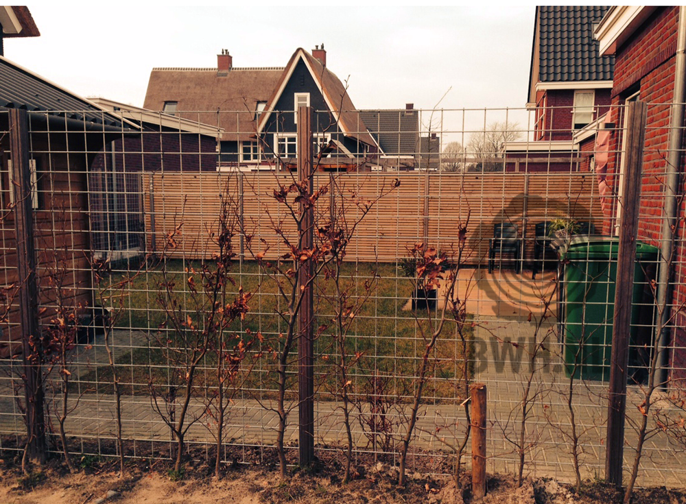 model_trellis_gaas_maaswijdte_10x10