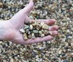 morane_4_16_mm_hand