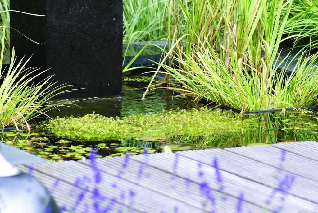 natuursteen_vijverrand_basalt_100x30x3