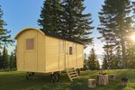 patricia_shepherds_hut