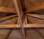 prieel_lariks_douglas_obdam