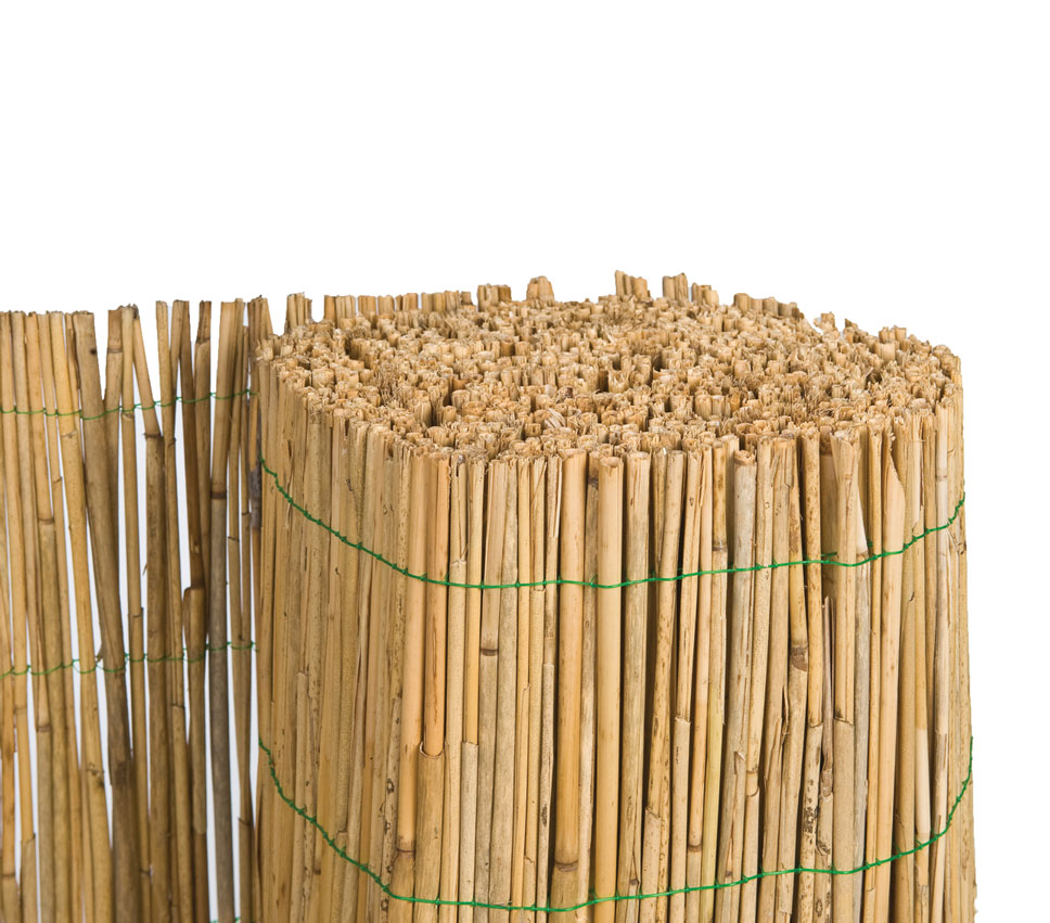 riet