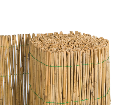 riet